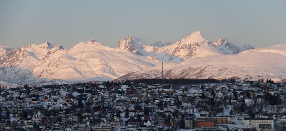 Vegan in the Arctic: Amazing Vegan-Friendly Activities to do in Tromsø (2025)