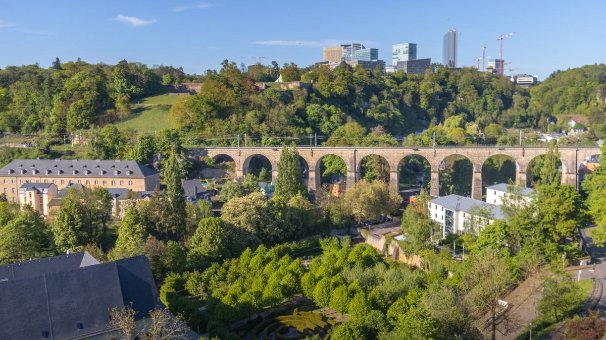 Vegan in Luxembourg: The Expert Local Guide