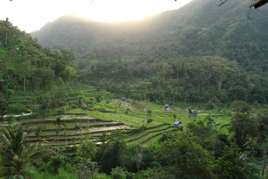 Have You Heard of Tetebatu?