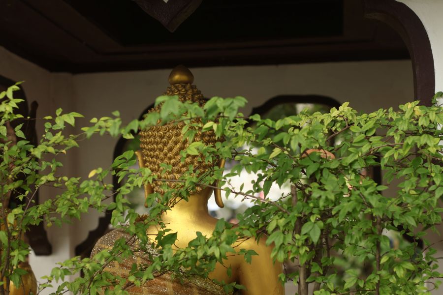 Top 10 Unique Things to Do in Chiang Mai (Vegan-Friendly Travel Guide)