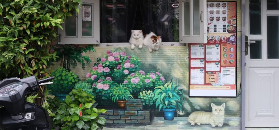 Vegan in Ho Chi Minh City: The Best Restaurants