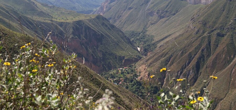 Vegan in the Colca Canyon: All You Need to Know