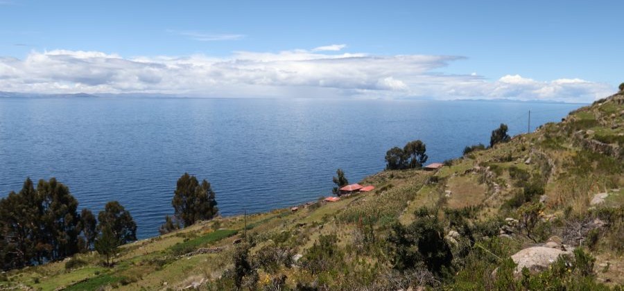 Lake Titicaca as a Vegan: Ultimate Guide to Puno, Uros & Taquile (2026)